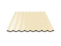 Профнастил оцинкованный С20B 0,45*1100(1150) RAL1014 слоновая кость 