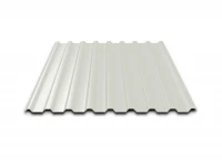 Профнастил оц. С20 II сорт  RAL9002 серо-белый  СТО-17052861-002-2025 