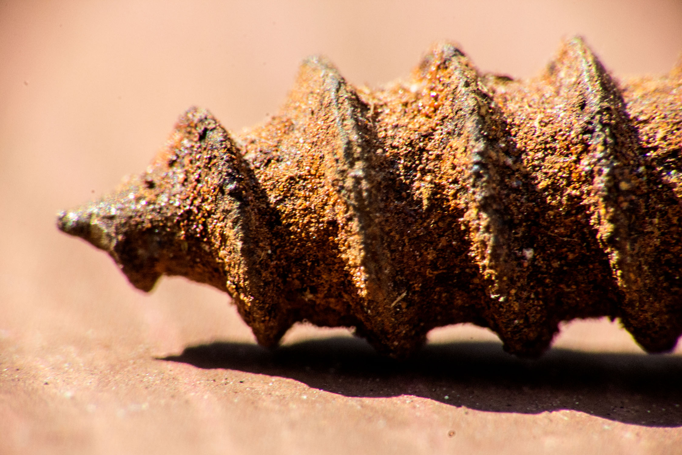 Ржавый саморез крупным планом — пример поверхностной коррозии